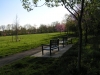 benches in spring with redbuds