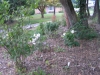 entry at Meadowdale 2011