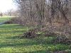 piles from MD DNR tree trimming Dec. 2011