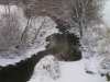 Rock Creek Jan 2011 from Baughmans Lane