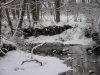Rock Creek Jan. 2011