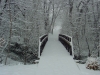 the middle bridge