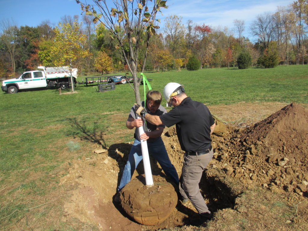 Dan Yates (Bartlett Tree Experts and an FWP board member) and Scott Geasey (City Park Maintenance supervisor) set one of the new trees